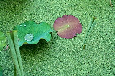 纵向弹幕游戏《SHINORUBI》2023年初登陆主机